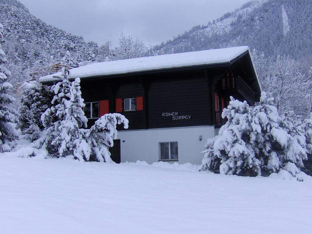 Chalet Esher Surrey Ried-Brig Szoba fotó